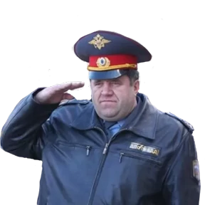 Свои — стикер для MAX