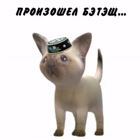 alfixxi — стикер для MAX
