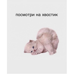 Выхухоль — стикер для MAX