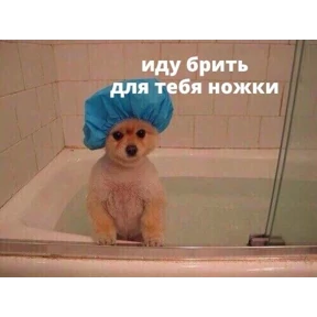 Выхухоль — стикер для MAX