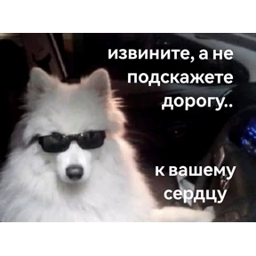 Выхухоль — стикер для MAX
