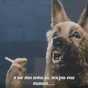 Выхухоль — стикер для MAX