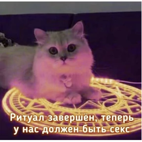 Выхухоль — стикер для MAX