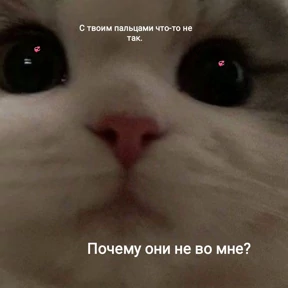 Выхухоль — стикер для MAX