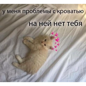 Выхухоль — стикер для MAX