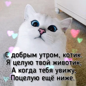 Выхухоль — стикер для MAX