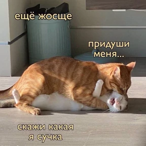 Выхухоль — стикер для MAX