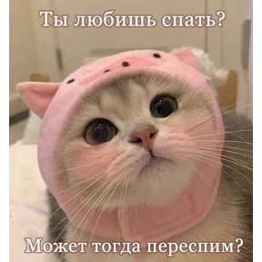 Выхухоль — стикер для MAX
