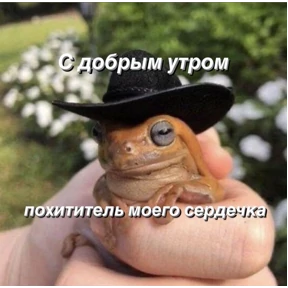 Выхухоль — стикер для MAX