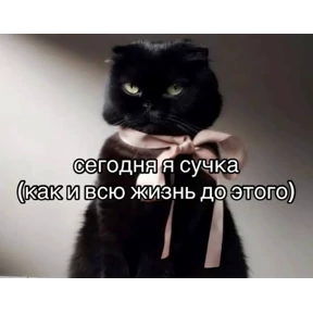 Выхухоль — стикер для MAX