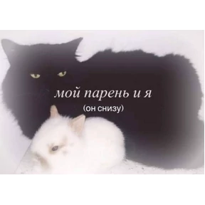 Выхухоль — стикер для MAX