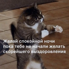 Выхухоль — стикер для MAX