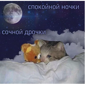 Выхухоль — стикер для MAX