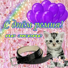 Выхухоль — стикер для MAX