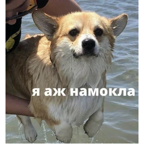 Выхухоль — стикер для MAX