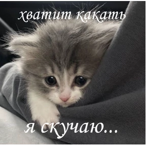 Выхухоль — стикер для MAX