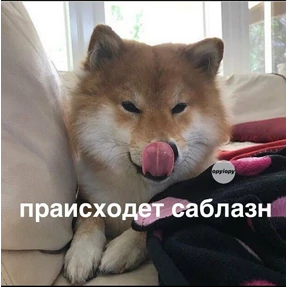 Выхухоль — стикер для MAX