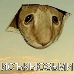 Набор миллениала — стикер для MAX
