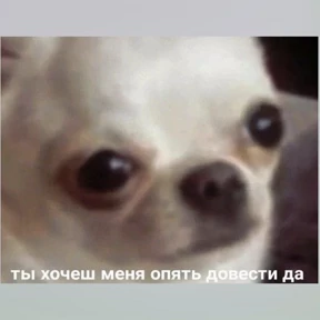Набор миллениала — стикер для MAX