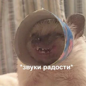 Набор миллениала — стикер для MAX