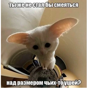 Стикерпак спороч кароч! для мессенджера MAX