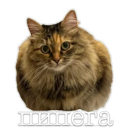 Namana — стикер для MAX