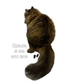 Namana — стикер для MAX