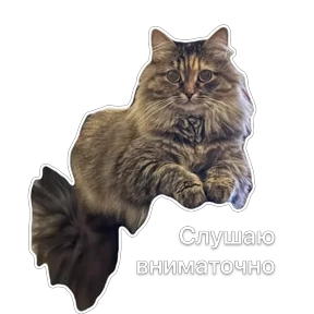 Namana — стикер для MAX