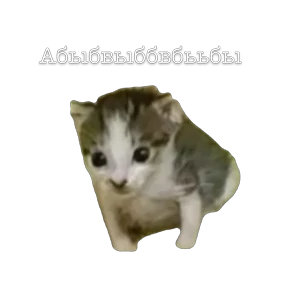 Namana — стикер для MAX