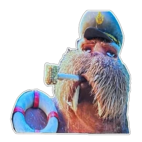 Namana — стикер для MAX