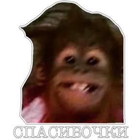 Namana — стикер для MAX