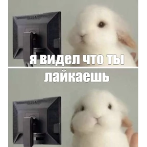 спороч кароч! — стикер для MAX