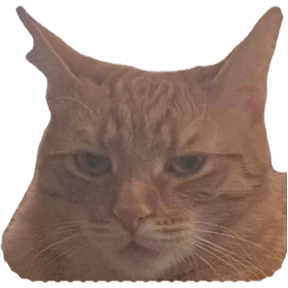 Сын коты — стикер для MAX