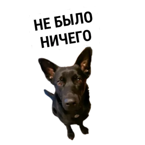 Крысиные — стикер для MAX