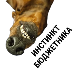 Крысиные — стикер для MAX