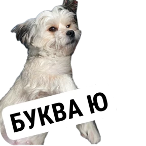 Крысиные — стикер для MAX