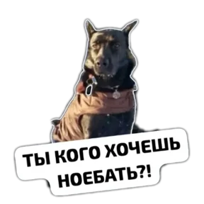 Крысиные — стикер для MAX