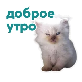 Стикеры — стикер для MAX