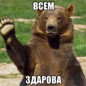 Стикеры — стикер для MAX