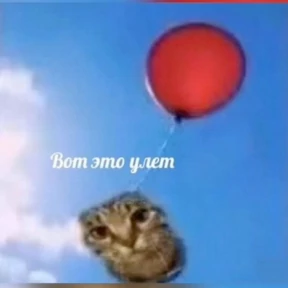 забыл — стикер для MAX