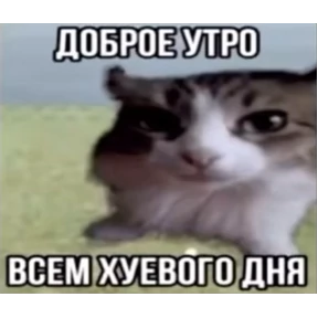 забыл — стикер для MAX