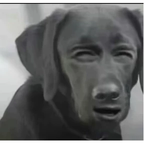 дресня, брат — стикер для MAX