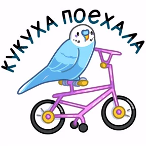 Житейские — стикер для MAX