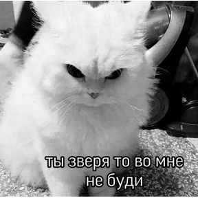 Еуу — стикер для MAX
