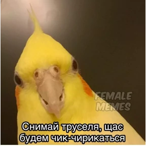 Еуу — стикер для MAX