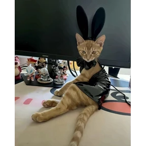 Еуу — стикер для MAX