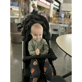 Дися — стикер для MAX
