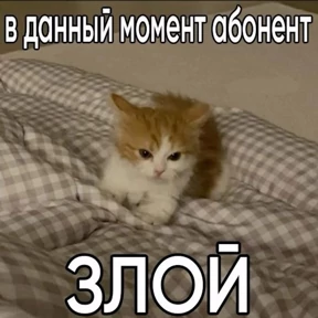 КОТИКИ))) — стикер для MAX