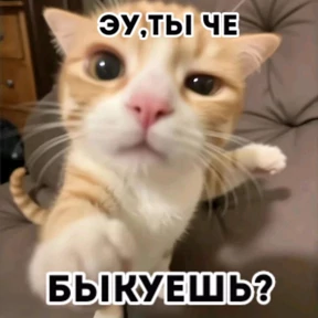 КОТИКИ))) — стикер для MAX