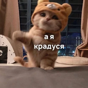 КОТИКИ))) — стикер для MAX